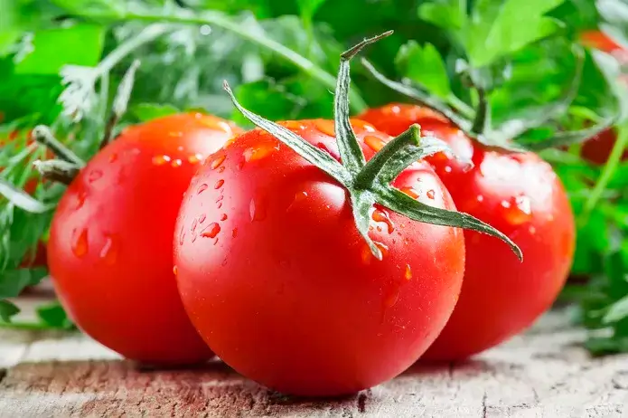 Licopeno de Tomate